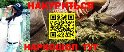 стаф Новодвинск