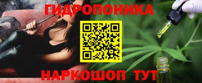 стаф Новодвинск