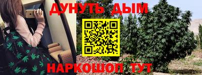 стафф Нальчик