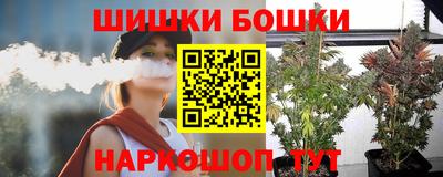 стафф Нальчик