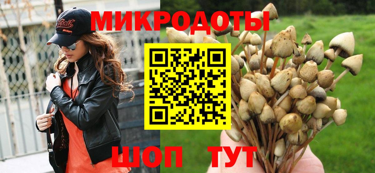 Сокол  Псилоцибиновые грибы Magic Shrooms  Вход с VPN 